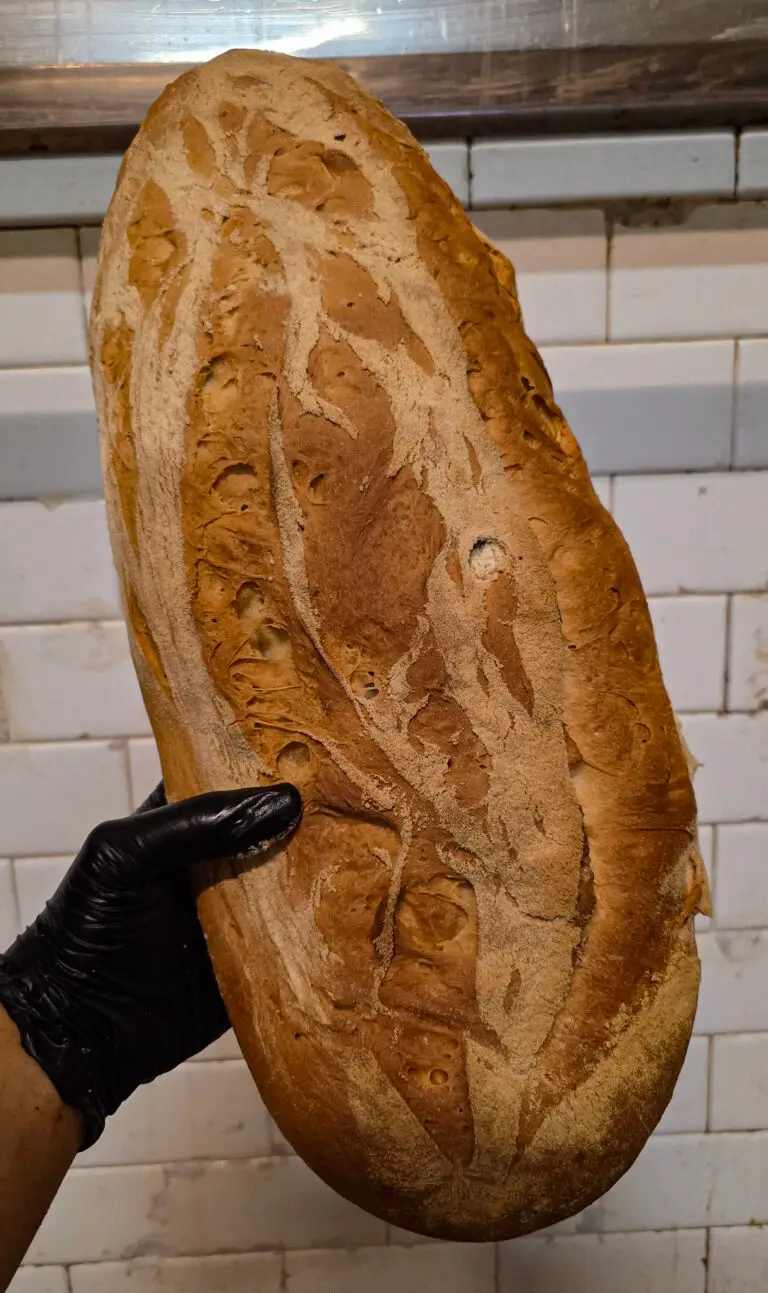 pane toscano
