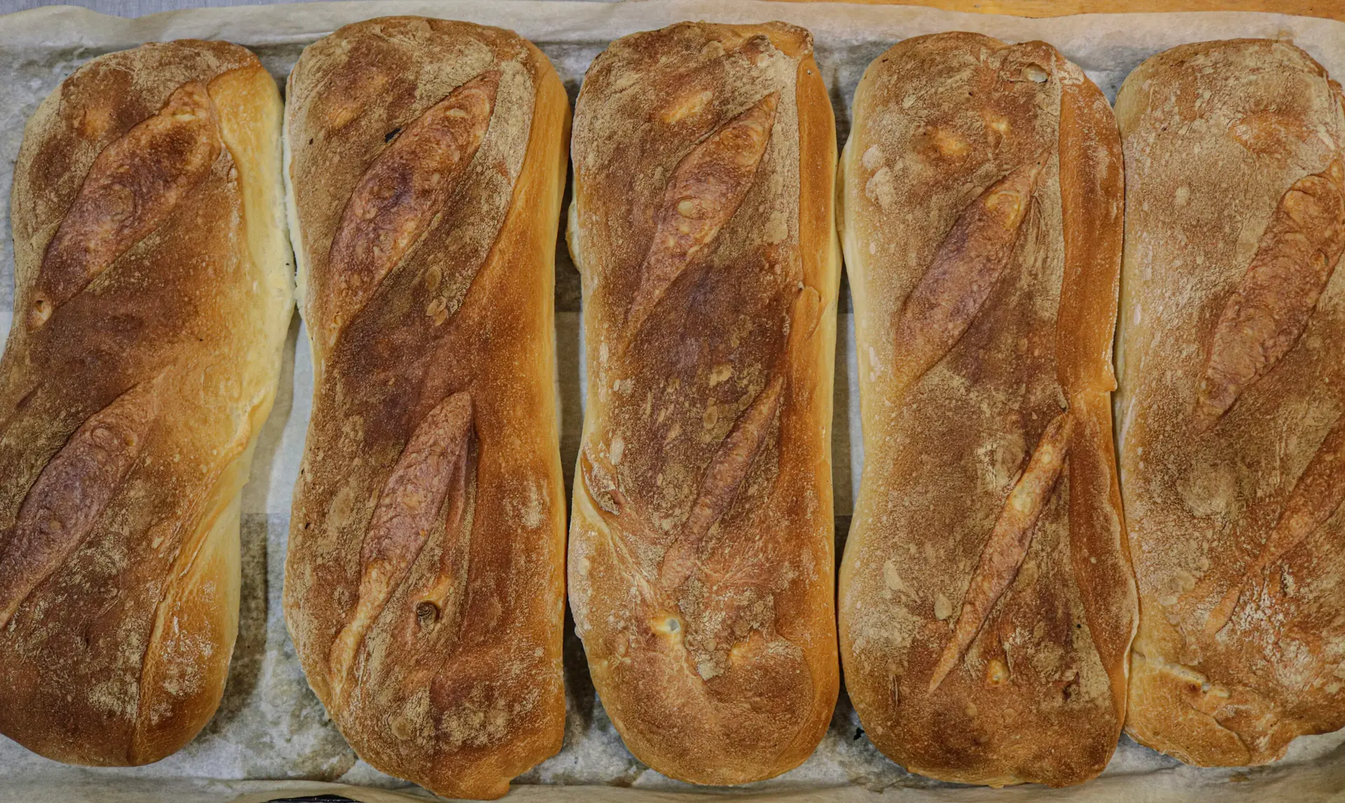 pugliesi
